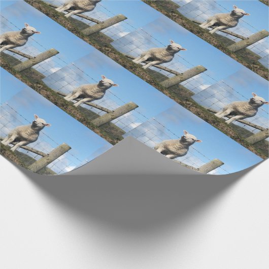 NIEDLICH LAMB GESCHENKPAPIER (Ecke)