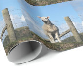NIEDLICH LAMB GESCHENKPAPIER (Rolleneckpunkt)