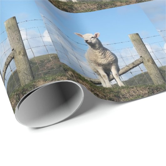 NIEDLICH LAMB GESCHENKPAPIER (Rolleneckpunkt)
