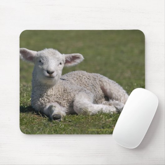 Niedlich Lamb Mousemat Mousepad (Mit Mouse)