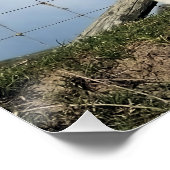 NIEDLICH LAMB POSTER (Ecke)