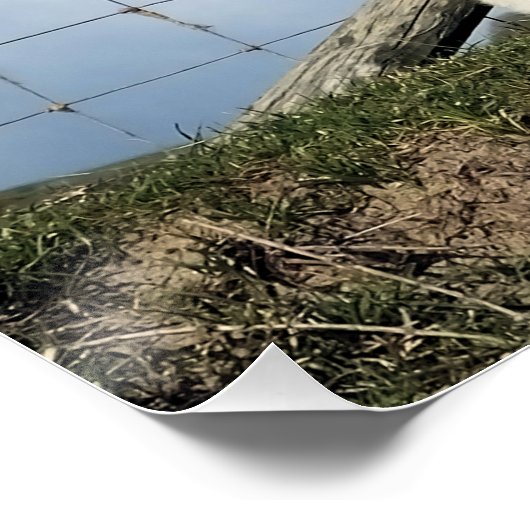 NIEDLICH LAMB POSTER (Ecke)