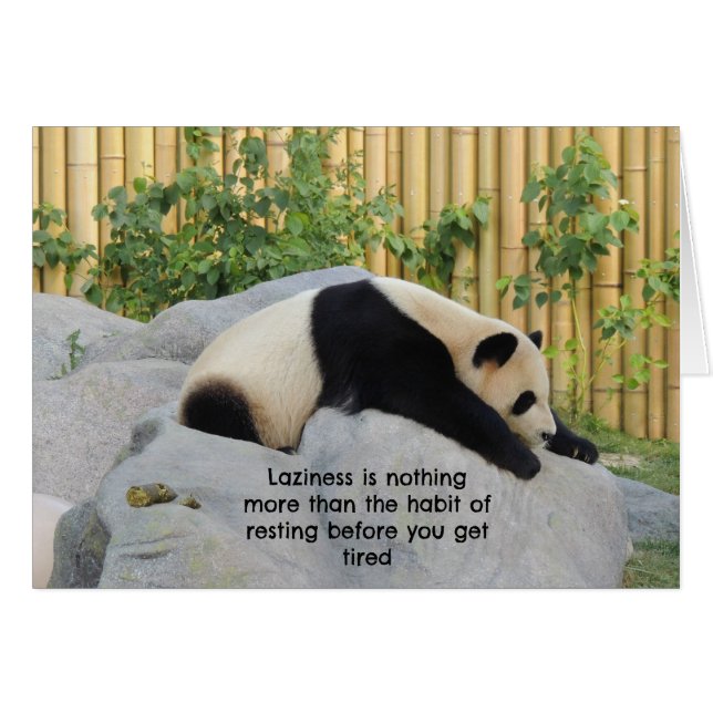 Niedlich Lazy Day Panda (Vorderseite (Horizontal))