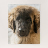 Niedlich Leonberger Puppy Puzzle (Vertikal)