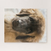 Niedlich Leonberger Puppy Puzzle (Horizontal)