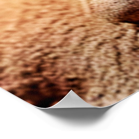 Niedlich Leopard Gecko Sunset Wüstendesign Poster (Ecke)