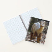 Niedlich Little Beige Dinosaur-Notebook Notizblock (Innenseite)