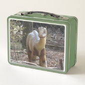Niedlich Little Beige Dinosaurier Lunchbox (Rückseite)