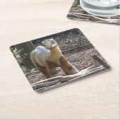 Niedlich Little Beige Dinosaurier Untersetzer (angewinkelt)