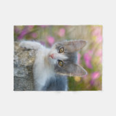 Niedlich Little Bicolor Kitten Fluffy Foto Cat Lov Fleecedecke (Vorderseite (Horizontal))