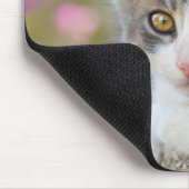 Niedlich Little Bicolor Kitten Fluffy Foto Cat Lov Mousepad (Ecke)