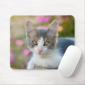 Niedlich Little Bicolor Kitten Fluffy Foto Cat Lov Mousepad (Mit Mouse)
