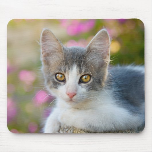 Niedlich Little Bicolor Kitten Fluffy Foto Cat Lov Mousepad (Vorne)