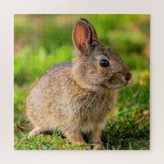 Niedlich Little Bunny - Puzzle (Horizontal)
