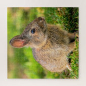 Niedlich Little Bunny - Puzzle (Vertikal)