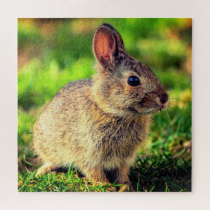 Niedlich Little Bunny - Sweet Puzzle