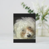 Niedlich Little Casper Postkarte (Stehend Vorderseite)