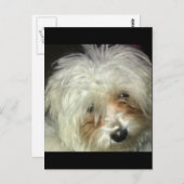 Niedlich Little Casper Postkarte (Vorne/Hinten)