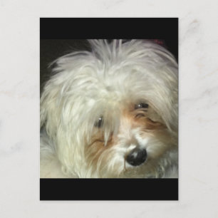 Niedlich Little Casper Postkarte