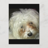 Niedlich Little Casper Postkarte (Vorderseite)