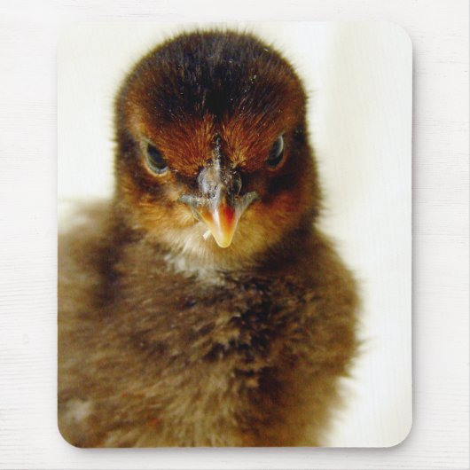 Niedlich Little Chick Mousepad (Vorne)