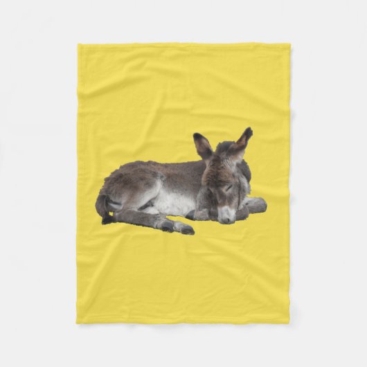 Niedlich Little Donkey Foal Fleecedecke (Vorderseite)