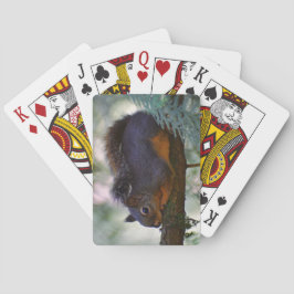 Niedlich Little Douglas Squirrel Wildlife Foto Spielkarten