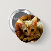 Niedlich Little Kitten Button (Vorne & Hinten)