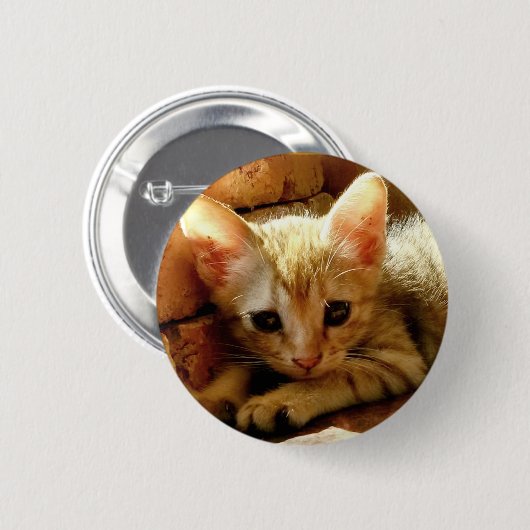 Niedlich Little Kitten Button (Vorne & Hinten)
