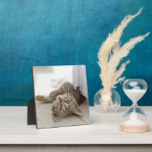 Niedlich Little Kitten Fotoplatte (InSitu)