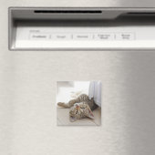 Niedlich Little Kitten Magnet (In Situ (Geschirrspüler))