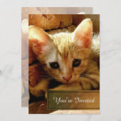 Niedlich Little Kitten Party Einladung (Vorne/Hinten)