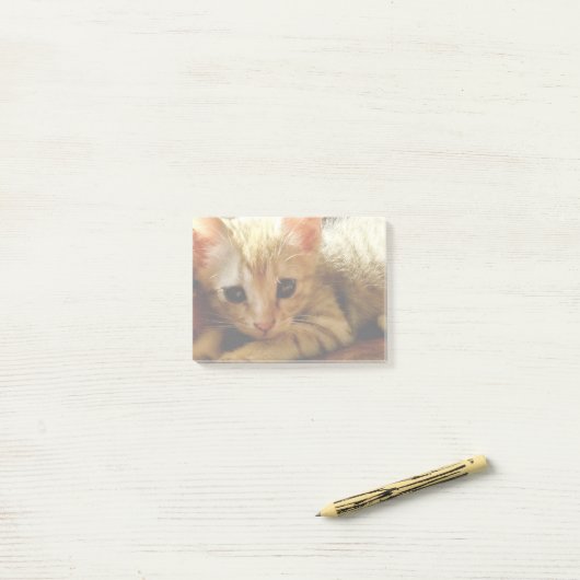 Niedlich Little Kitten Post-it Klebezettel (Auf Schreibtisch)