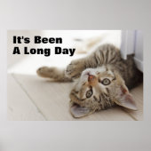 Niedlich Little Kitten Poster (Vorne)