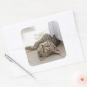 Niedlich Little Kitten Quadratischer Aufkleber (Umschlag)