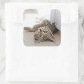 Niedlich Little Kitten Quadratischer Aufkleber (Tasche)