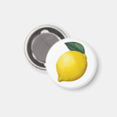 Niedlich Little Lemon Magnet (Vorderseite/Rückseite)
