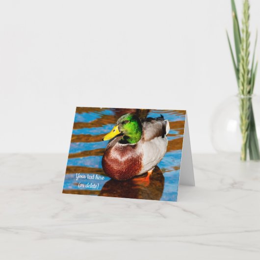 Niedlich Little Mallard Duck Grußkarte Karte (Vorderseite)
