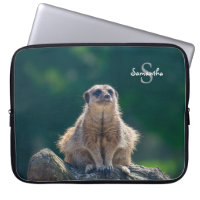 Niedlich Little Meerkat
