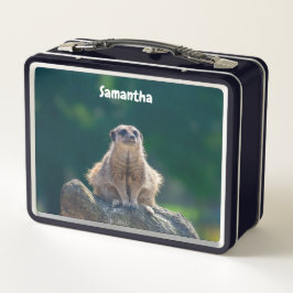 Niedlich Little Meerkat Metal Lunchbox