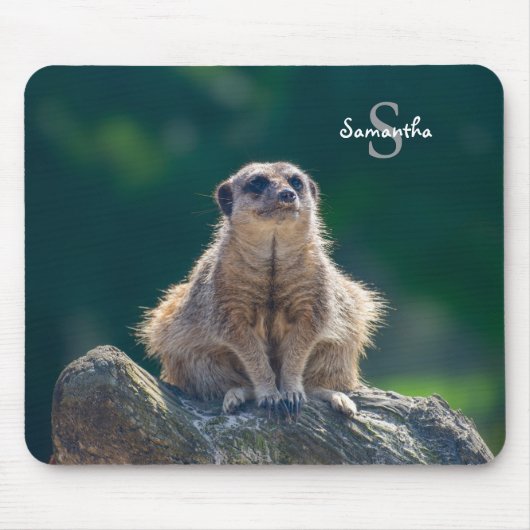 Niedlich Little Meerkat Mouse mat Mousepad (Vorne)