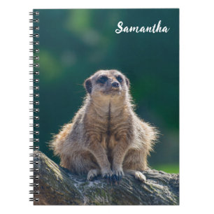 Niedlich Little Meerkat Spiral Notebook Notizblock