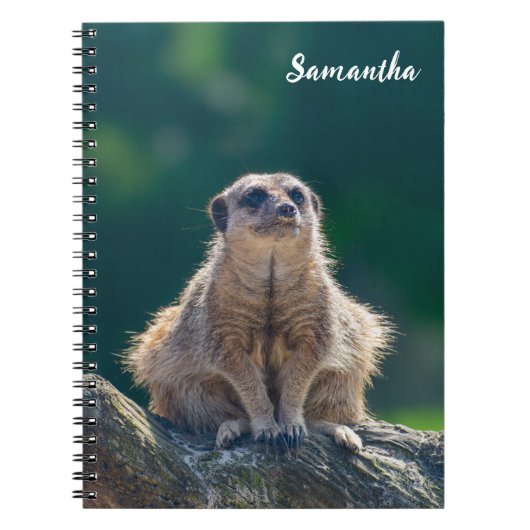Niedlich Little Meerkat Spiral Notebook Notizblock (Vorderseite)