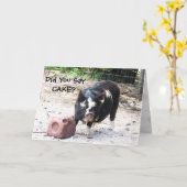 Niedlich Little Piggy - Geburtskarte Karte (Gelbe Blume)