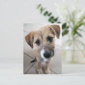 Niedlich Little Sad Dog Postkarte (Stehend Vorderseite)