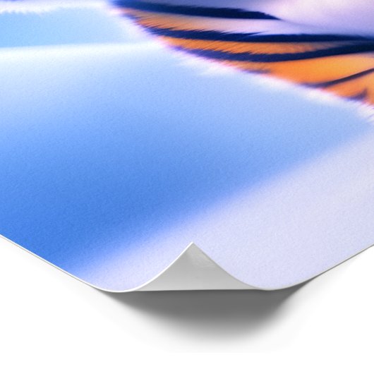 Niedlich Little Tiger Cub Poster (Ecke)