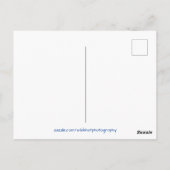 Niedlich Little Yorkie Terrier Postkarte (Rückseite)