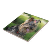 Niedlich Little Yorkshire Terrier Dog Fliese (Seite)