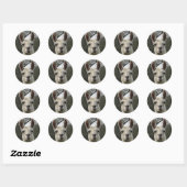 Niedlich Llama Stickers (Blatt)