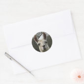Niedlich Llama Stickers (Umschlag)